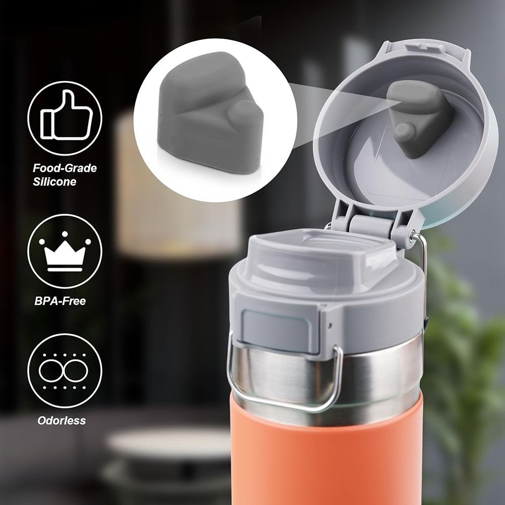 Prevent Leaks Water Bottle Gas - Hand Plane Stanley recensione e prezzo
